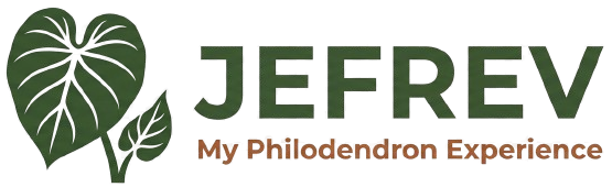 Jefrev